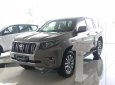 Toyota Land Cruiser Prado  2019 - Bán xe Toyota Land Cruiser Prado sản xuất 2019, nhập khẩu nguyên chiếc