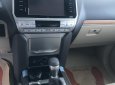 Toyota Land Cruiser Prado  2019 - Bán xe Toyota Land Cruiser Prado sản xuất 2019, nhập khẩu nguyên chiếc