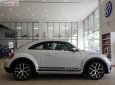 Volkswagen Beetle Dune 2018 - Bán Volkswagen Beetle Dune 2.0 TSI bản Final 2019 - Thiết kế thiên hướng thể thao, lai Crossover cá tính