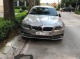 BMW 5 Series 520i 2016 - Bán xe BMW 5 Series 520i đời 2016, màu bạc, xe còn zin từng con ốc và nước sơn luôn