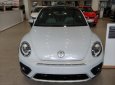 Volkswagen Beetle Dune 2018 - Bán Volkswagen Beetle Dune 2.0 TSI bản Final 2019 - Thiết kế thiên hướng thể thao, lai Crossover cá tính