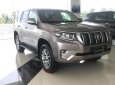 Toyota Land Cruiser Prado  2019 - Bán xe Toyota Land Cruiser Prado sản xuất 2019, nhập khẩu nguyên chiếc