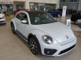 Volkswagen Beetle Dune 2018 - Bán Volkswagen Beetle Dune 2.0 TSI bản Final 2019 - Thiết kế thiên hướng thể thao, lai Crossover cá tính