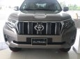 Toyota Land Cruiser Prado  2019 - Bán xe Toyota Land Cruiser Prado sản xuất 2019, nhập khẩu nguyên chiếc