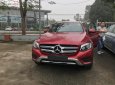 Mercedes-Benz GLC-Class GLC 250 4Matic 2019 - Bán Mercedes GLC 250 4Matic đời 2019, màu đỏ