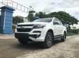 Chevrolet Colorado High Country 2.5L 4x4 AT 2019 - Cần bán Chevrolet Colorado High Country 2.5L 4x4 AT đời 2019, màu trắng, nhập khẩu