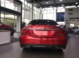 Mercedes-Benz C class C300 AMG 2019 - Cần bán Mercedes C300 AMG năm sản xuất 2019, màu đỏ