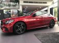 Mercedes-Benz C class C300 AMG 2019 - Cần bán Mercedes C300 AMG năm sản xuất 2019, màu đỏ