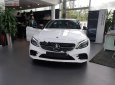 Mercedes-Benz C class C300 AMG 2019 - Bán ô tô Mercedes C300 AMG năm sản xuất 2019, màu trắng