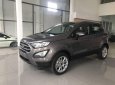 Ford EcoSport 2019 - Bán xe Ford EcoSport năm sản xuất 2019