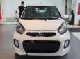 Kia Morning  EX MT 1.25 2019 - Bán Kia Morning EX MT 1.25 2019, sẵn xe, đủ màu giao ngay, tư vấn, lái thử xe miễn phí