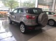 Ford EcoSport 2019 - Bán xe Ford EcoSport năm sản xuất 2019