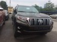 Toyota Prado    VX 2.7L   2019 - Bán xe Toyota Prado VX 2.7L đời 2019, màu nâu