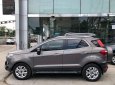 Ford EcoSport Titanium 1.5 AT 2015 - Bán Ford EcoSport Titanium 1.5 AT 2015, xe bán tại hãng Ford An Lạc