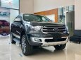 Ford Everest Titanium 2.0L 4x4 AT 2019 - Bán Ford Everest Titanium 2.0L 4x4 AT 2019, màu đen, xe nhập