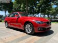 BMW 3 Series 320i 2018 - Bán BMW 320i 2018, màu đỏ, nhập khẩu 
