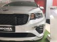Kia Sedona Platinum D 2019 - Bán xe Kia Sedona Platinum D đời 2019, màu bạc