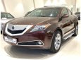 Acura ZDX 2009 - HCM: Acura ZDX SH-AWD 2009, màu nâu, xe nhập