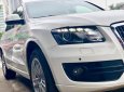 Audi Q5 Quattro 2010 - Bán Audi Q5 Quattro sản xuất 2010