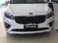 Kia Sedona Platinum D 2019 - Bán Kia Sedona Platinum D năm sản xuất 2019