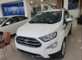 Ford EcoSport   Titanium 1.5   2019 - Bán ô tô Ford EcoSport Titanium 1.5 năm sản xuất 2019, màu trắng, 648 triệu