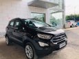 Ford EcoSport  Titanium 1.5L AT 2019 - Bán Ford EcoSport Titanium 1.5L AT năm sản xuất 2019, màu đen