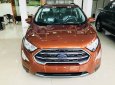 Ford EcoSport 1.5 Titanium 2019 - Bán Ford EcoSport 1.5 Titanium 2019, giá tốt khi LH: 0902172017 - Em Mai