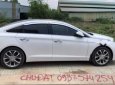 Hyundai Sonata 2017 - Bán Hyundai Sonata đời 2017, màu trắng, 815 triệu