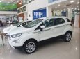 Ford EcoSport   Titanium 1.5   2019 - Bán ô tô Ford EcoSport Titanium 1.5 năm sản xuất 2019, màu trắng, 648 triệu