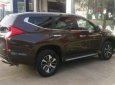 Mitsubishi Pajero Sport 2.4D 4x2 MT 2018 - Bán Mitsubishi Pajero Sport 2.4D 4x2 MT năm sản xuất 2018, màu nâu, nhập khẩu  