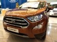 Ford EcoSport 2019 - Ford EcoSport mới- - Tặng BHVC+ PK: Film 3M, camera, sàn, DVD, vè che mưa.., đủ màu, giá cạnh tranh