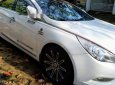 Hyundai Sonata 2011 - Bán Hyundai Sonata đời 2011, chính chủ giữ kĩ