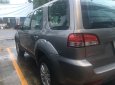 Ford Escape XLS 2010 - Bán Ford Escape XLS sản xuất 2010, màu xám (ghi), 375 triệu