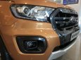 Ford Ranger   2019 - Cần bán Ford Ranger năm sản xuất 2019, nhập khẩu