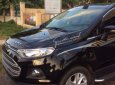 Ford EcoSport   2015 - Bán Ford EcoSport sản xuất năm 2015, màu đen