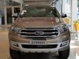 Ford Everest 2.0L 2019 - Bán xe Ford Everest năm sản xuất 2019, màu vàng