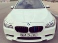 BMW 5 Series  520i  2016 - Cần bán gấp BMW 5 Series 520i 2016, màu trắng, ĐKLĐ 2017