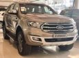 Ford Everest 2.0L 2019 - Bán xe Ford Everest năm sản xuất 2019, màu vàng