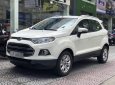 Ford EcoSport  Titanium 1.5L Sport  2015 - Bán Ford EcoSport Titanium 1.5L Sport năm sản xuất 2015, màu trắng