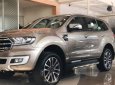 Ford Everest 2.0L 2019 - Bán xe Ford Everest năm sản xuất 2019, màu vàng