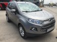 Ford EcoSport 2017 - Cần bán Ford EcoSport 2017 Titatium tự động màu xám ít đi