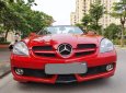 Mercedes-Benz SLK200  2009 - Bán Mercedes SLK 200 tự động màu đỏ sx 2009 cực đẹp