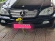 Mercedes-Benz ML Class   ML 320   2002 - Bán Mercedes ML 320 năm sản xuất 2002, màu đen, nhập khẩu số tự động