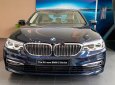 BMW 5 Series  530i  2019 - Bán BMW 5 Series 530i sản xuất 2019, màu xanh lam, nhập khẩu  