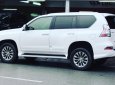 Lexus GX  460 2016 - Bán ô tô Lexus GX 460 đời 2016, màu trắng, xe nhập