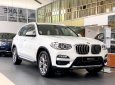 BMW X3 2019 - Bán ô tô BMW X3 sản xuất năm 2019, màu trắng, nhập khẩu