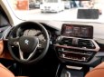 BMW X3 2019 - Bán ô tô BMW X3 sản xuất năm 2019, màu trắng, nhập khẩu