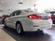 BMW 5 Series  530i  2019 - Bán BMW 5 Series 530i đời 2019, màu trắng, xe nhập