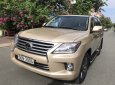 Lexus LX LX570 2009 - Bán LX570 2009 lên form 2014, xe đẹp sơn zin cá nhân, bao đâm đụng và ngập nước