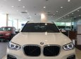 BMW X3 xDrive20i 2019 - Bán xe BMW X3 xDrive20i đời 2019, màu trắng, nhập khẩu